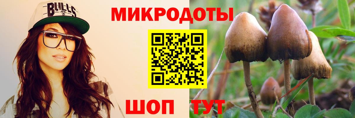 Можга  Галлюциногенные грибы MAGIC MUSHROOMS  Псилоцибиновые грибы ЛСД  Вход с VPN 